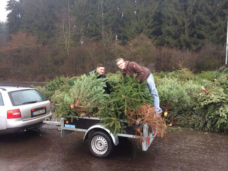 Christbaumsammeln 2014 Christbaumsammeln
